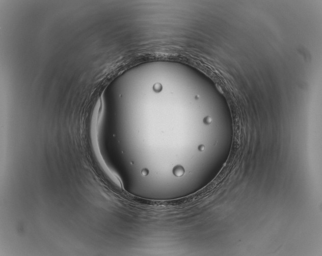 X0000112060704200908251021