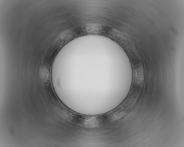 X0000112060705200908251021