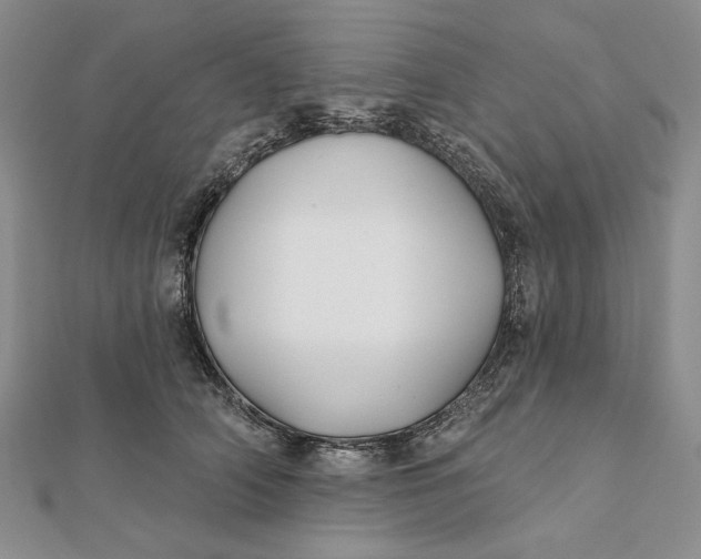 X0000112060706200908251021