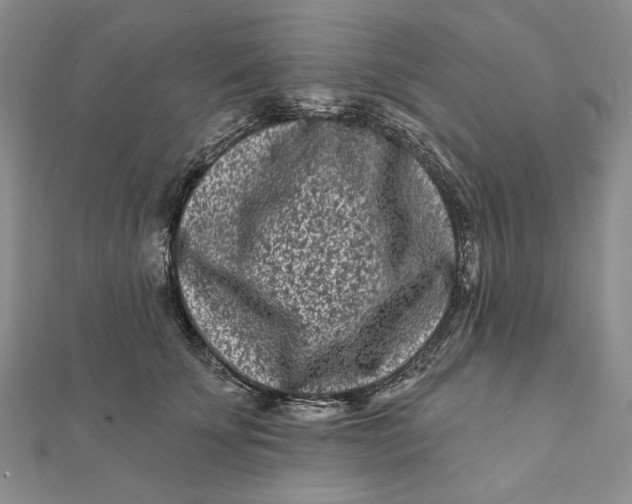 X0000112060707200908251021