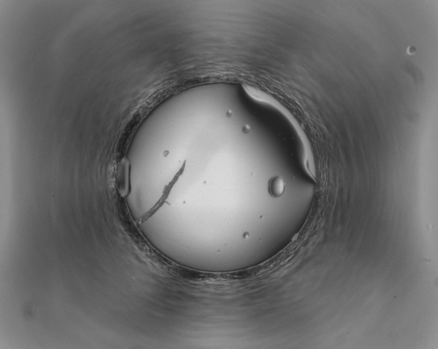 X0000112060708200908251021