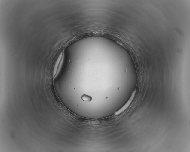 X0000112060709200908251021