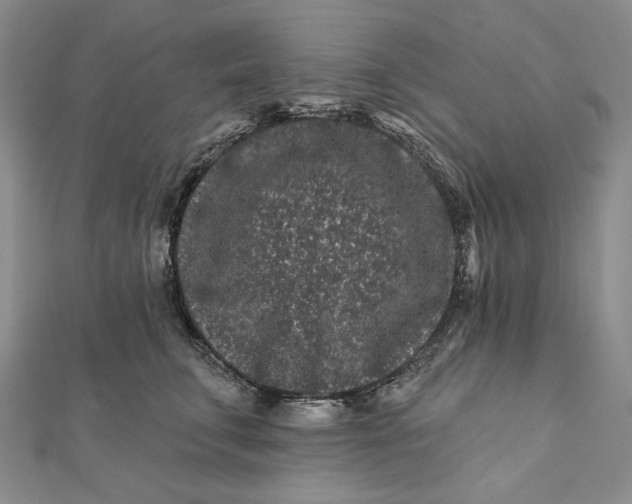 X0000112060711200908251021