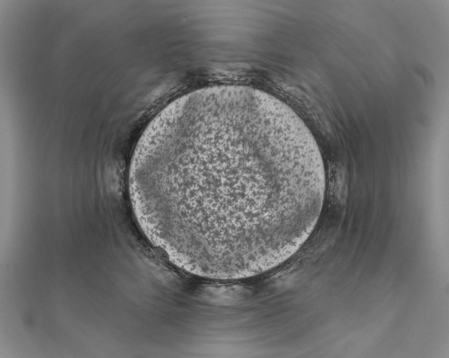 X0000112060712200908251021