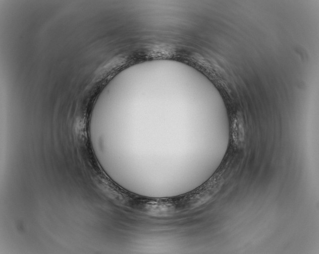 X0000112060714200908251021