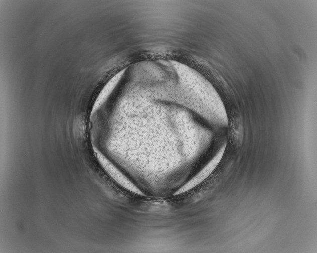 X0000112060715200908251021