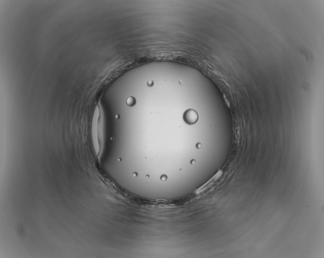 X0000112060716200908251021