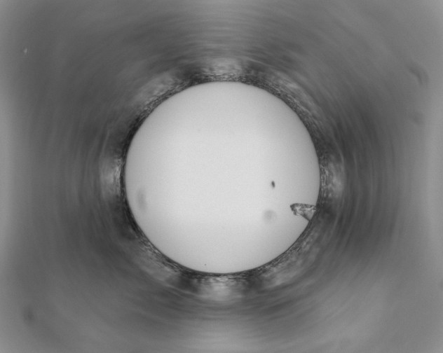 X0000112060717200908251021