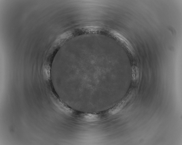 X0000112060718200908251021