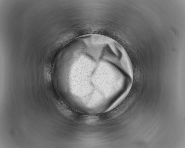 X0000112060719200908251021