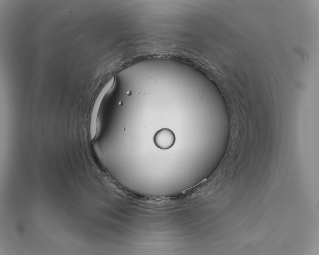 X0000112060720200908251021