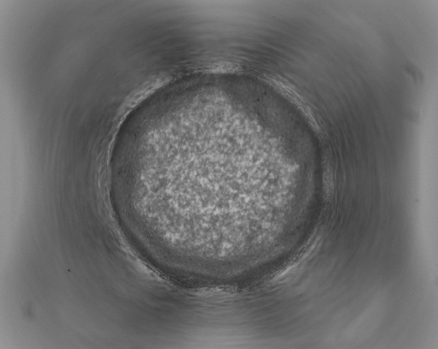 X0000112060721200908251020