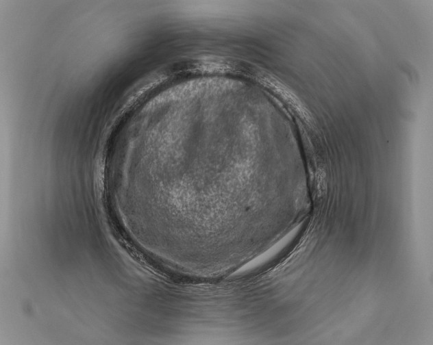 X0000112060722200908251020