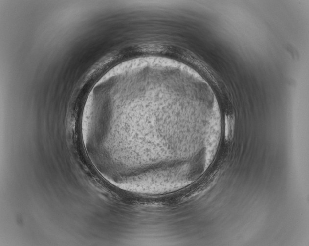 X0000112060723200908251020