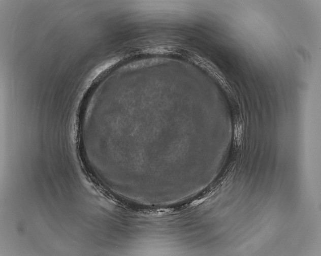 X0000112060724200908251020