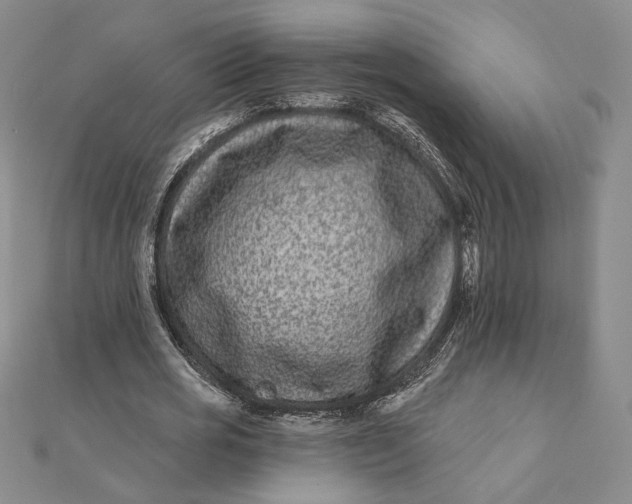 X0000112060725200908251020