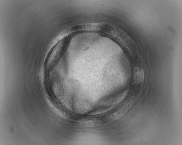 X0000112060726200908251020