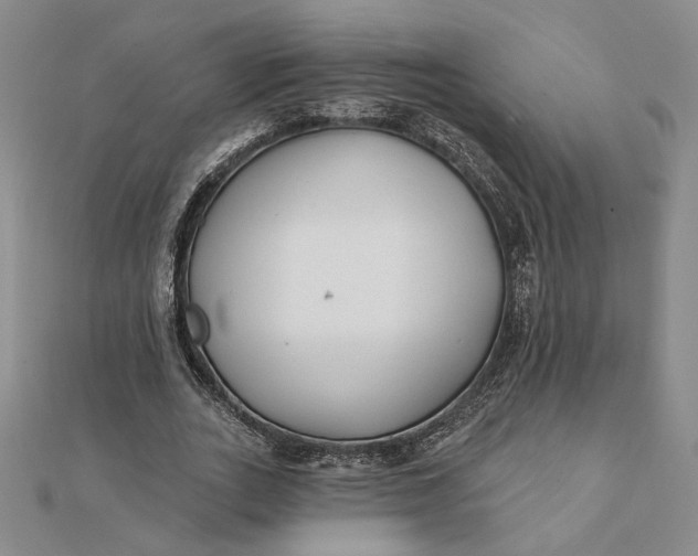 X0000112060727200908251020