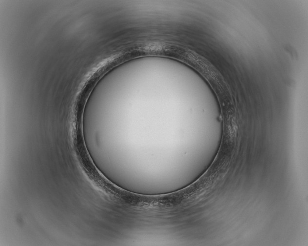 X0000112060728200908251020