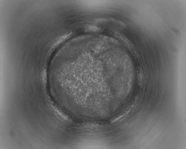 X0000112060729200908251020