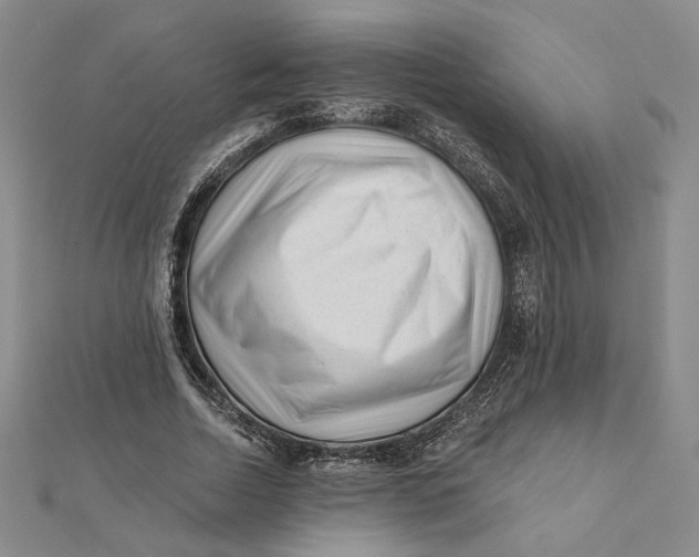 X0000112060730200908251020