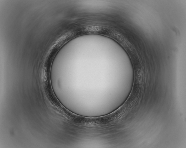 X0000112060731200908251020