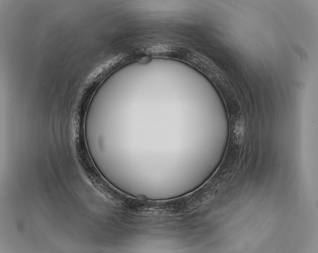 X0000112060732200908251020