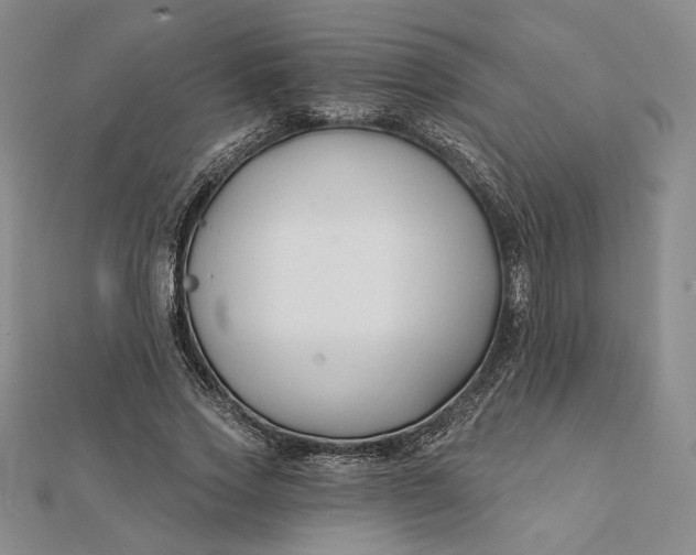 X0000112060733200908251020