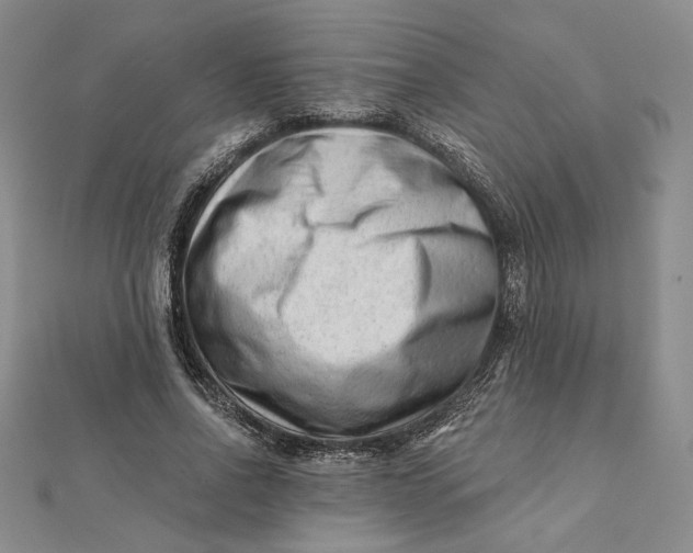 X0000112060734200908251020