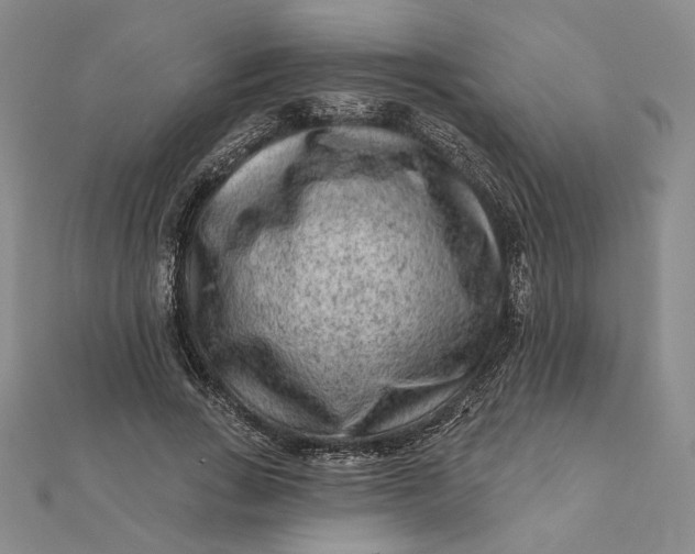 X0000112060735200908251020