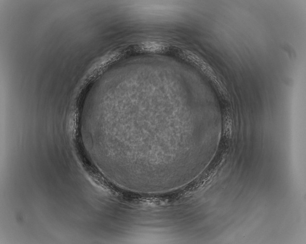 X0000112060736200908251020