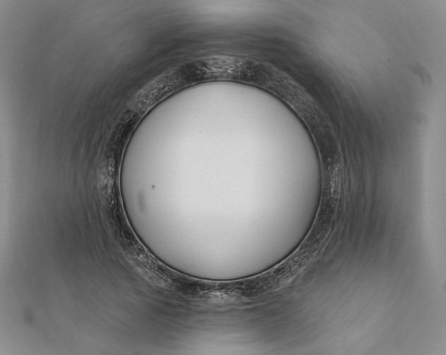 X0000112060737200908251020