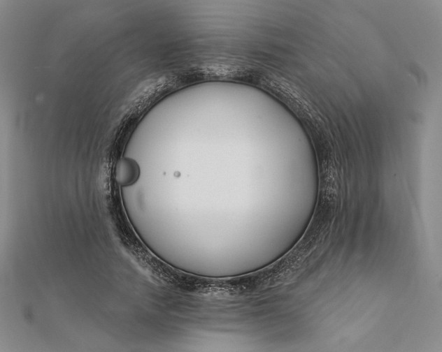 X0000112060738200908251020