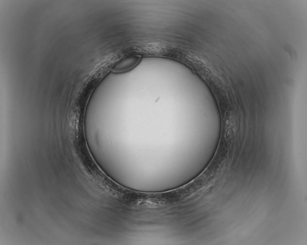 X0000112060739200908251020