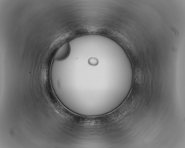 X0000112060740200908251020