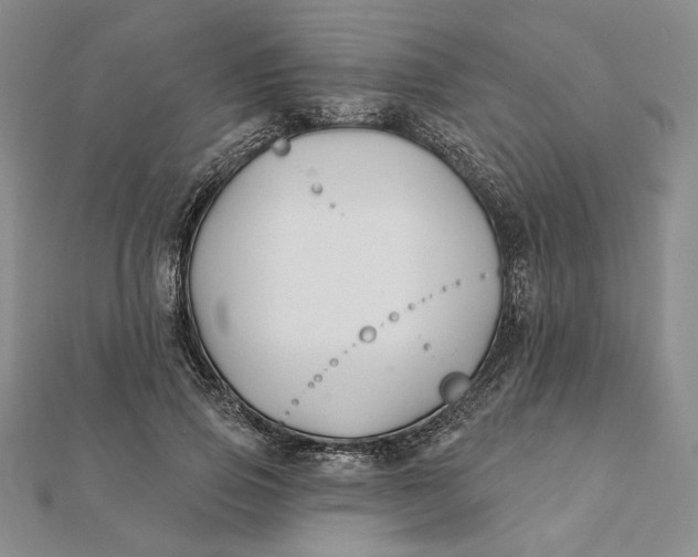 X0000112060741200908251020