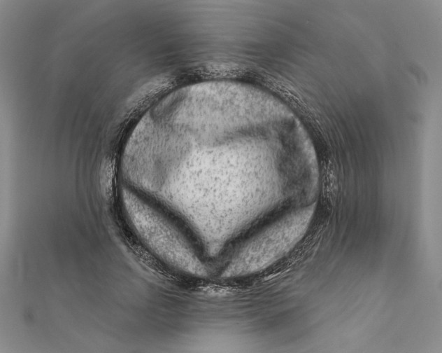 X0000112060742200908251020