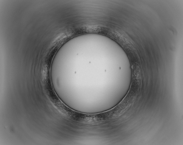 X0000112060744200908251020