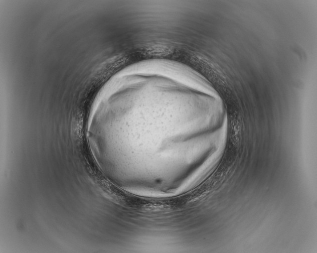 X0000112060745200908251020