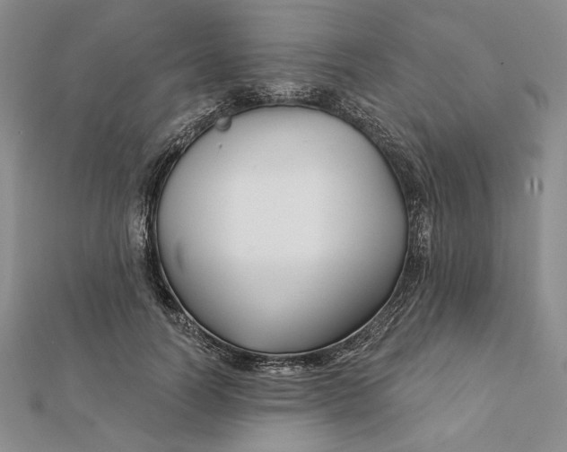 X0000112060746200908251020