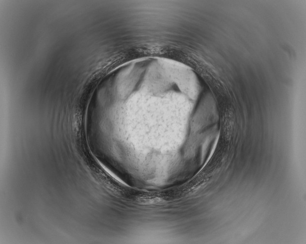 X0000112060747200908251020