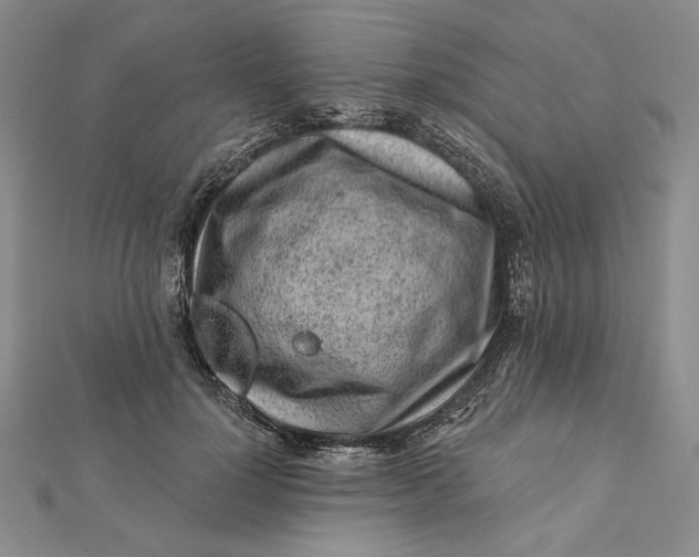 X0000112060748200908251020