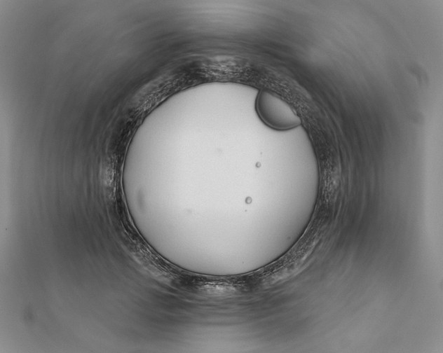 X0000112060749200908251020