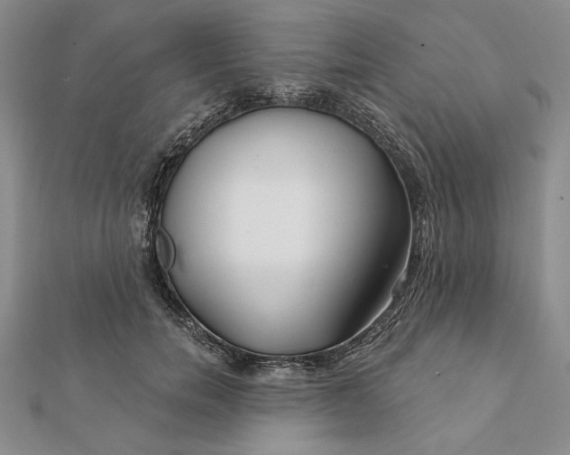 X0000112060750200908251020