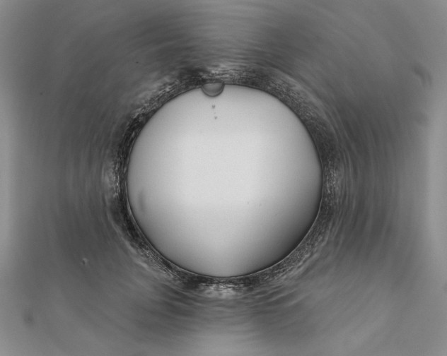 X0000112060751200908251020