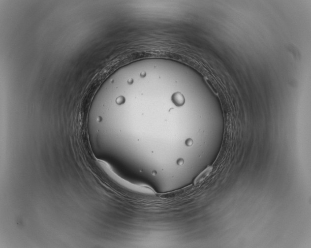 X0000112060752200908251020