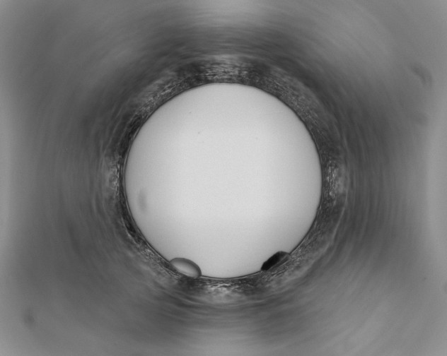 X0000112060753200908251020