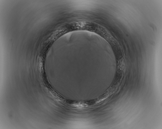 X0000112060754200908251020