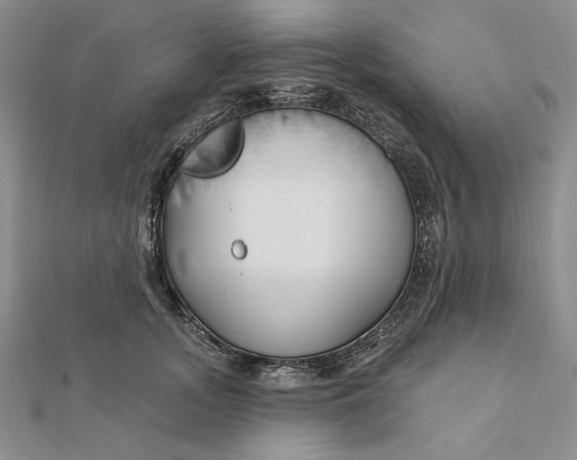 X0000112060755200908251020