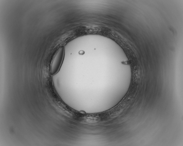 X0000112060756200908251020